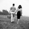 Young couple with picnic basket  walking in field Poster Print - Item # VARSAL255417669