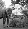 Young man working in garden Poster Print - Item # VARSAL255418041