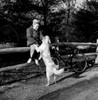 Boy with dog and bicycle sitting on fence Poster Print - Item # VARSAL255416451