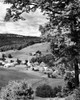 USA  Vermont  East Corinth  Houses on landscape Poster Print - Item # VARSAL25522251