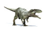 3D rendering of a Giganotosaurus dinosaur Poster Print - Item # VARPSTVET600005P