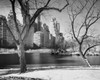 Pond in front of skyscrapers  Central Park  Manhattan  New York City  New York  USA Poster Print - Item # VARSAL25545306