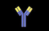 Conceptual image of an antibody Poster Print - Item # VARPSTSTK700626H