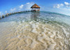 Mexico, Yucatan Peninsula, Tulum, Pier Over Turquoise Ocean. PosterPrint - Item # VARDPI1975863