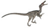 Velociraptor dinosaur roaring, white background Poster Print - Item # VARPSTEDV600290P