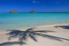 Hawaii, Oahu, Lanikai Beach, Palm Shadows On White Sand, Turquoise Ocean PosterPrint - Item # VARDPI2003921