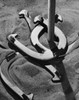 High angle view of horseshoes around a post Poster Print - Item # VARSAL25524718