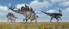 A pair of Stegosaurus dinosaurs confronting a carnivorous Allosaurus during Earth's Jurassic period Poster Print - Item # VARPSTMAS600079P