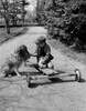 Boy with golden retriever Poster Print - Item # VARSAL255416979