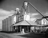 Grain elevator in a field Poster Print - Item # VARSAL25550118