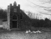 USA  New Hampshire  Elkins  flock of ducks in front of church Poster Print - Item # VARSAL255424008