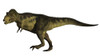 Tyrannosaurus Rex, a large carnivore of the Cretaceous Period Poster Print - Item # VARPSTADR600016P