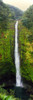 View of a waterfall, Akaka Falls, Akaka Falls State Park, Hawaii County, Hawaii, USA Poster Print - Item # VARPPI157302