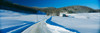 http://c328301.r1.cf1.rackcdn.com/PPI160375S.jpg