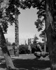 Canada  British Columbia  Victoria  Totem Pole park Poster Print - Item # VARSAL255422088