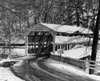 Covered bridge in a forest Poster Print - Item # VARSAL25536073