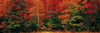 http://c328301.r1.cf1.rackcdn.com/PPI59656S.jpg