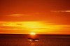 Humpback Whale Tail @ Sunset Se Composite PosterPrint - Item # VARDPI2099901