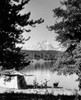 Jackson Lake   Grand Teton National Park   Wyoming   USA Poster Print - Item # VARSAL2553698