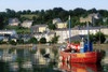 Kinsale Harbour, Co Cork, Ireland PosterPrint - Item # VARDPI1816295