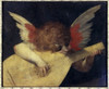 Angel with Lute  Rosso Fiorentino   Oil on Wood Panel  Galleria degli Uffizi  Florence Poster Print - Item # VARSAL3804407143