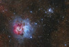 The Trifid Nebula and Messier 21 cluster in Sagittarius Poster Print - Item # VARPSTFEN200018S