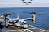 Atlantic Ocean, January 31, 2012 - An MV-22 Osprey tiltrotor aircraft lands aboard the amphibious assault ship USS Kearsarge during Exercise Bold Alligator 2012. Poster Print - Item # VARPSTSTK105300M