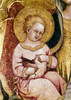 Madonna & Child - Detail   Taddeo di Bartolo  Poster Print - Item # VARSAL3810412713