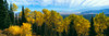 http://c328301.r1.cf1.rackcdn.com/PPI161336L.jpg