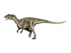 Allosaurus is a theropod dinosaur from the Late Jurassic Period Poster Print - Item # VARPSTNBT600065P