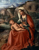 Madonna and Child in a Landscape  1504  Giorgione  State Hermitage Museum  St. Petersburg  Russia Poster Print - Item # VARSAL261541