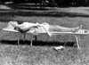 Woman sunbathing in backyard Poster Print - Item # VARSAL25549057