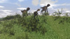 Two Utahraptors chasing a Gigantoraptor across a grassy field Poster Print - Item # VARPSTKVA600184P