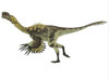 Citipati dinosaur. Citipati was a omnivorous theropod dinosaur that lived in Mongolia during the Cretaceous Period Poster Print - Item # VARPSTCFR200457P