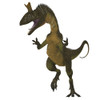 Cryolophosaurus dinosaur on white background. Cryolophosaurus was a large carnivorous dinosaur that lived in Antarctica during the Jurassic Period Poster Print - Item # VARPSTCFR200602P