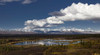 Scenic View Of A Kettle Pond With The Alaska Range In The Background, Interior Alaska PosterPrint - Item # VARDPI2154527