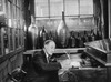 Mature man sitting in a wine shop  London  England Poster Print - Item # VARSAL990118099