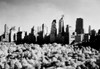 USA  New York State  New York City  view of Central Park and Manhattan skyline Poster Print - Item # VARSAL255422317 USA  New York State  New York City  view of Central Park and Manhattan skyline Poster Print - Item # VARSAL255422317