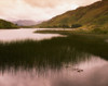 Kylemore Lough, Co Galway, Ireland PosterPrint - Item # VARDPI1815510