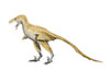 Bambiraptor is a theropod dinosaur from the Late Cretaceous Period Poster Print - Item # VARPSTNBT600075P