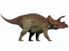 Triceratops is a genus of herbivorous dinosaur that lived in North America during the Cretaceous Period Poster Print - Item # VARPSTCFR200165P