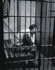 Side profile of a male prisoner sitting in a prison cell Poster Print - Item # VARSAL2553787