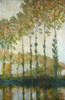 Poplars on the Epte  1891  Claude Monet  Oil on canvas  Private Collection Poster Print - Item # VARSAL900143628