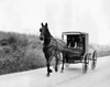 Two people sitting in an Amish carriage  Pennsylvania  USA Poster Print - Item # VARSAL25532246