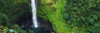 High angle view of a waterfall, Akaka Falls, Akaka Falls State Park, Hawaii County, Hawaii, USA Poster Print - Item # VARPPI157301