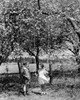 Vintage photograph of boy talking to girl standing with swing under trees in blossom Poster Print - Item # VARSAL25516306