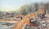 Repenomamus mammals hunting for prey during the Mid-Jurassic Period of Europe Poster Print - Item # VARPSTMRH600020P