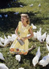 High angle view of a teenage girl feeding chickens in a field Poster Print - Item # VARSAL24534818