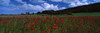http://c328301.r1.cf1.rackcdn.com/PPI91908L.jpg