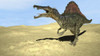 Spinosaurus walking across desert terrain Poster Print - Item # VARPSTKVA600563P